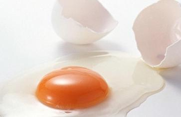 宝宝多大才可以吃鸡蛋白