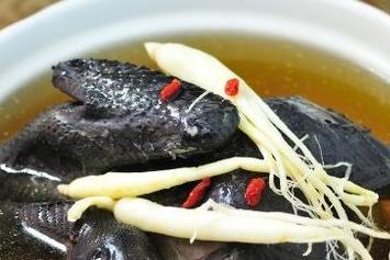 哺乳期奶水不足怎么办