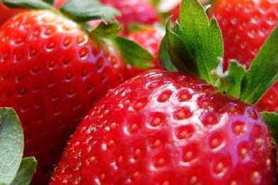 雾霾天气宝宝吃什么好