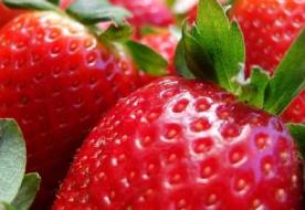 雾霾天气宝宝吃什么好