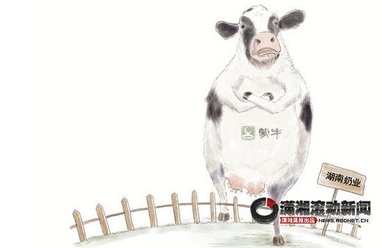 蒙牛乳业拟在湖南衡阳市投资约11亿元，进军当地奶业