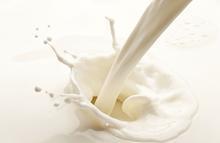 “疆岳驴”奶粉热销 价值900元一斤
