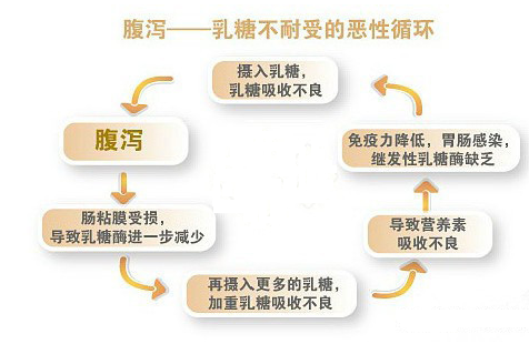 腹泻奶粉帮助宝宝更好渡过腹泻期