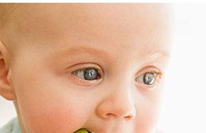 宝宝秋季养生多吃10种食物