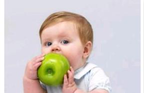 宝宝秋季饮食养生的6个重点