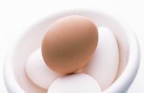 鸡蛋的营养价值有哪些