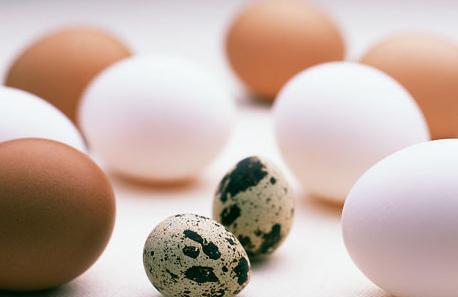 提高精子质量吃什么好 鸡蛋是好选择
