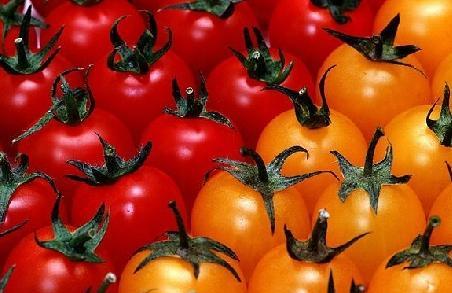 番茄红素简介 番茄红素有什么功效