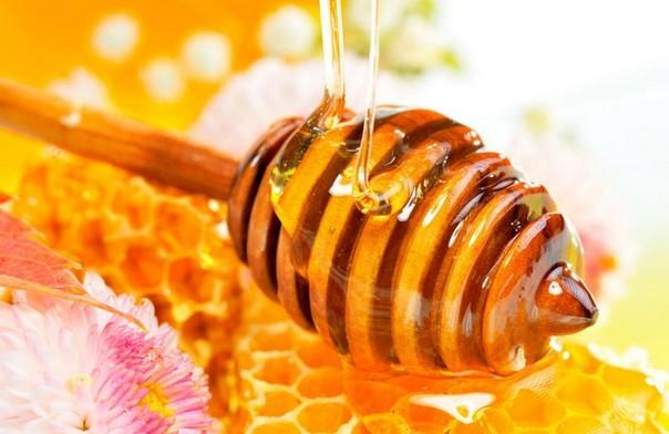 喝蜂蜜能减肥吗？蜂蜜减肥瘦身法推荐