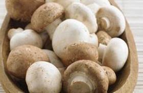 怎么用蘑菇减肥？两款蘑菇瘦身食谱助你排毒减肥