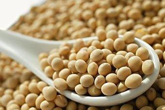 中医推荐五脏养生的最佳食物