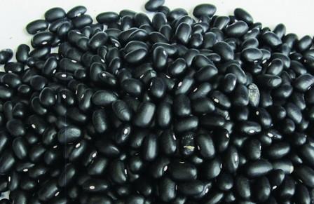 多吃黑豆 可预防百病