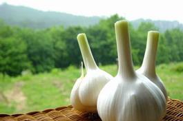 大蒜