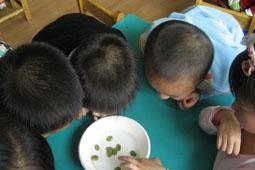 对细微事物感兴趣的敏感期