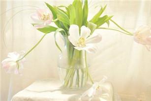 孩子做事没有耐心怎么办 这几种方法最有效