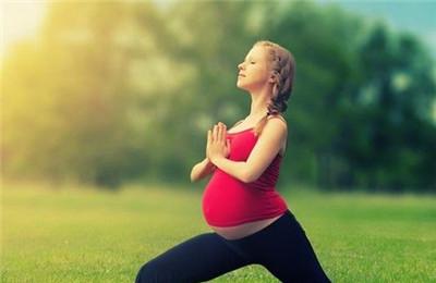 怀孕期间做什么运动合适