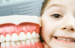 儿童换牙期注意事项