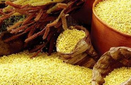寶寶吃什么聰明伶俐 天才兒童常吃這9種食物