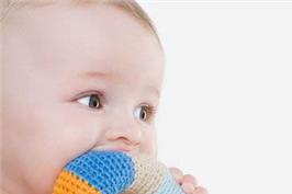 八个月宝宝能吃饼干吗