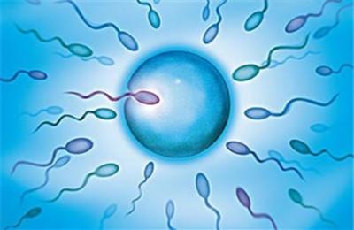 畸形精子能与卵子结合吗