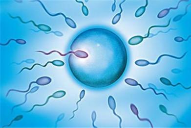畸形精子能与卵子结合吗