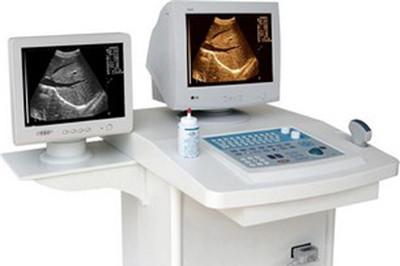 优势卵泡的标准