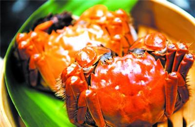 中秋节吃螃蟹不能吃什么