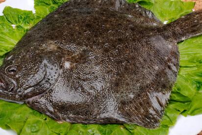 宝宝能吃多宝鱼吗