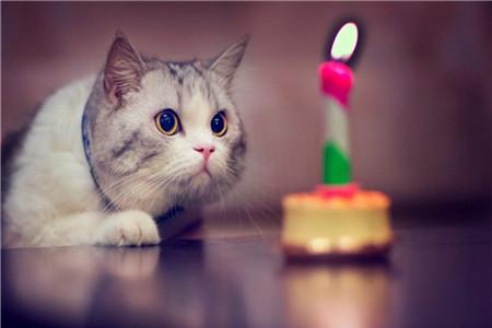 产后大出血的抢救流程