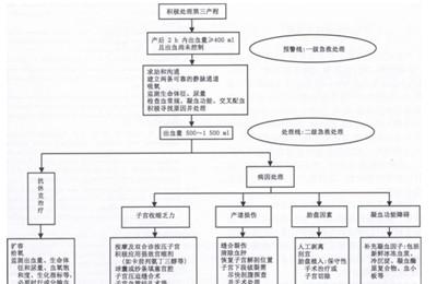 产后大出血抢救流程图