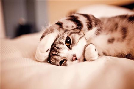 适合重阳节的歌曲有哪些