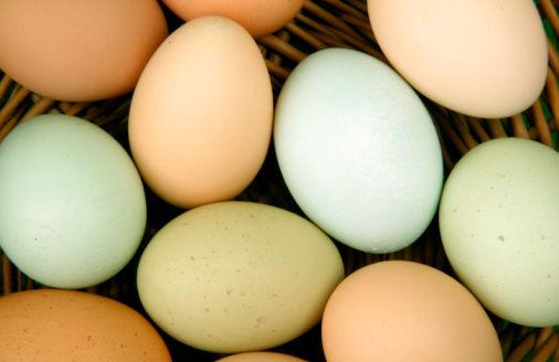 网络销售染色鸡蛋冒充土鸡蛋 价格翻五倍