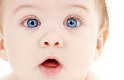 早产儿视网膜病变防治指南