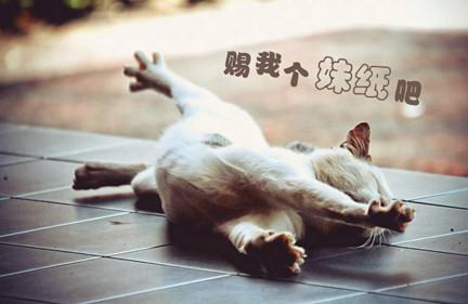 关于光棍节的经典语录 你hold得住吗