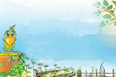 乌鸦和鸽子的故事