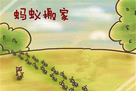 小蚂蚁搬家的故事