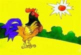 美丽的大公鸡