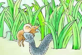 蛇与庄稼的故事