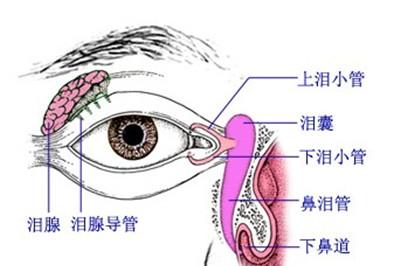 新生儿泪囊炎的按摩方法