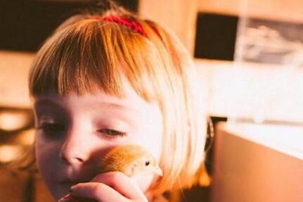 冬天给宝宝断奶好吗