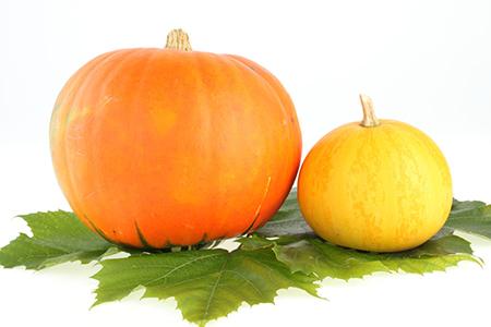 孕期糖尿病能吃南瓜吗