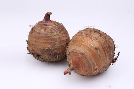 宝宝咳嗽可以吃芋头吗