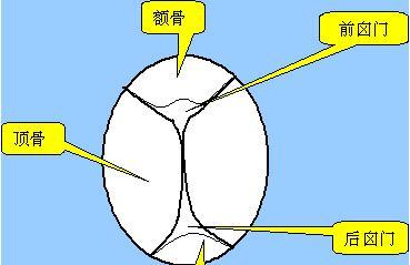 宝宝囟门凹陷怎么办