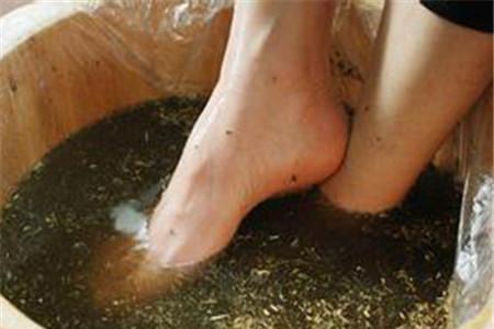 艾叶泡脚助孕吗？