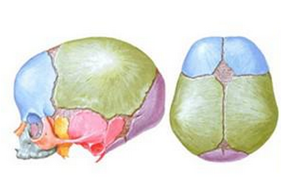 婴儿囟门小的原因
