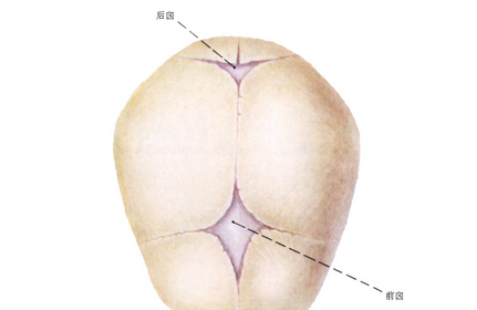 新生儿囟门护理