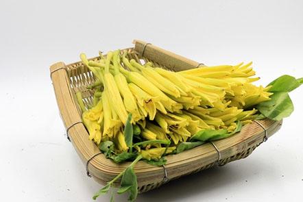 宝宝能吃黄花菜吗