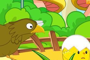 老鹰和小鸡的故事