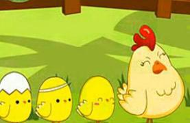 老鹰抓小鸡的故事