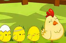 老鹰抓小鸡的故事